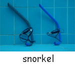murena snorkel
